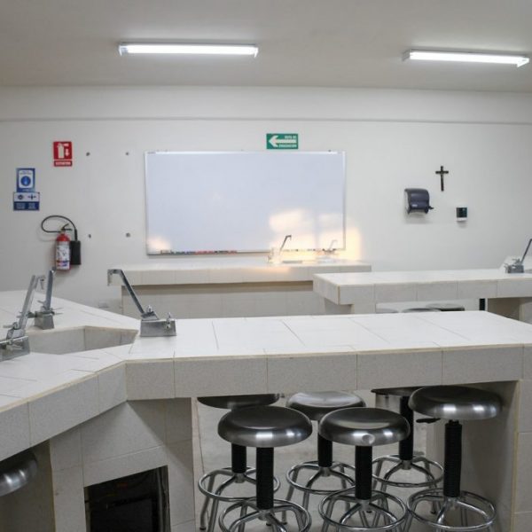 DSC_2323_web-1024x682