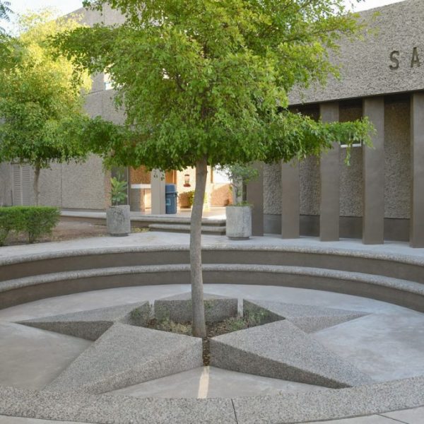 DSC_2382_web-1024x682